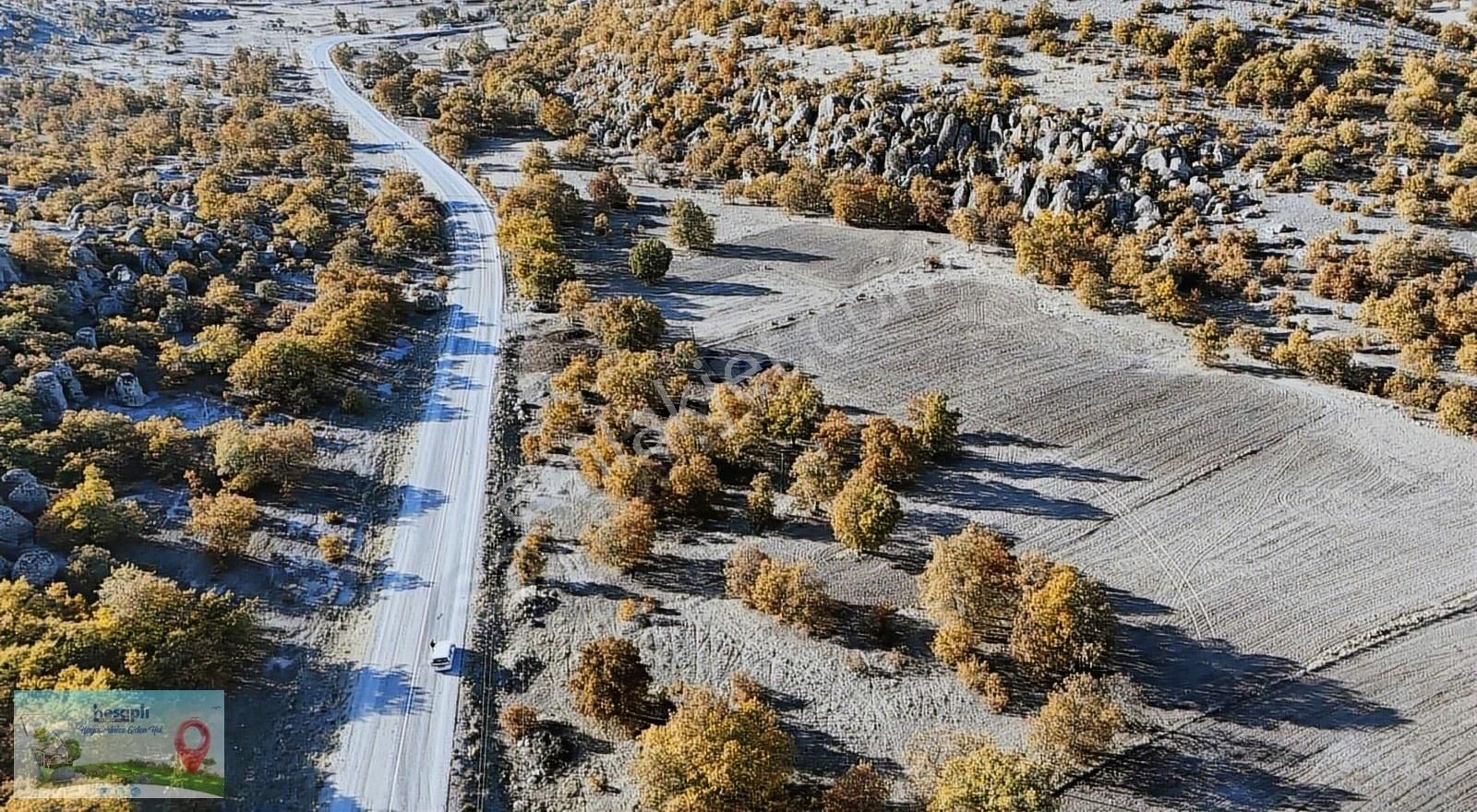 Konya / Meram / Kumrali Mah. 2.540 M² Müstakil Tapulu Tarla - Görsel 5
