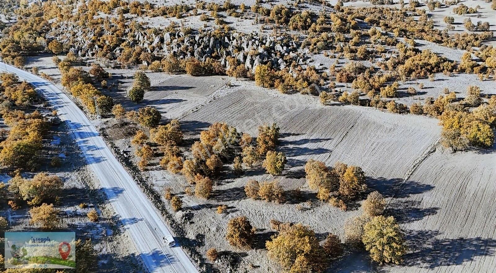 Konya / Meram / Kumrali Mah. 2.540 M² Müstakil Tapulu Tarla - Görsel 2