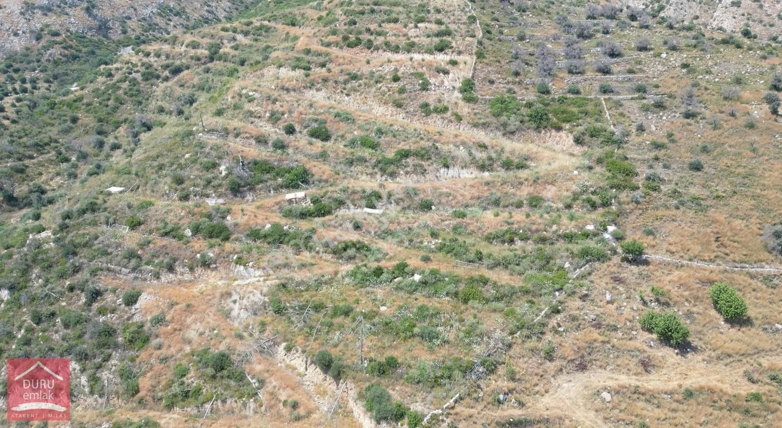 Muğla Milas Çökertme Bozalan İmar Sınırında Lebiderya 13.344m² - Görsel 11