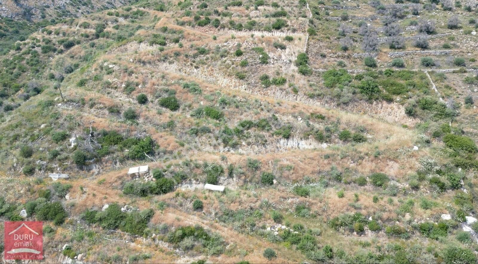 Muğla Milas Çökertme Bozalan İmar Sınırında Lebiderya 13.344m² - Görsel 4