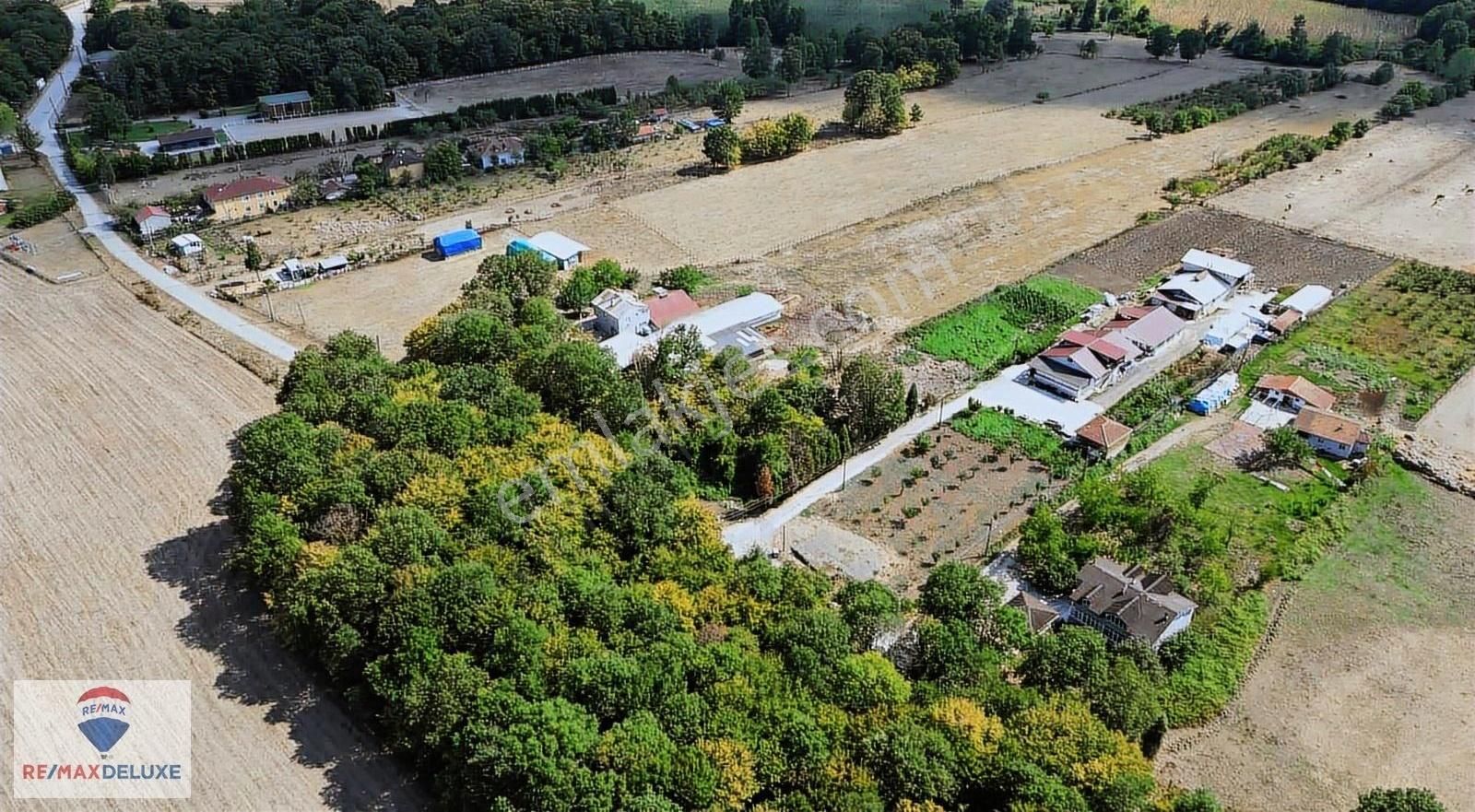Kartepe İbrikdere Mahallesinde Satılık 11.000m2 Çiftlik - Görsel 6