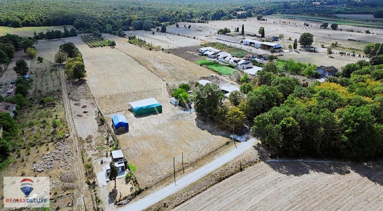 Kartepe İbrikdere Mahallesinde Satılık 11.000m2 Çiftlik - Görsel 3