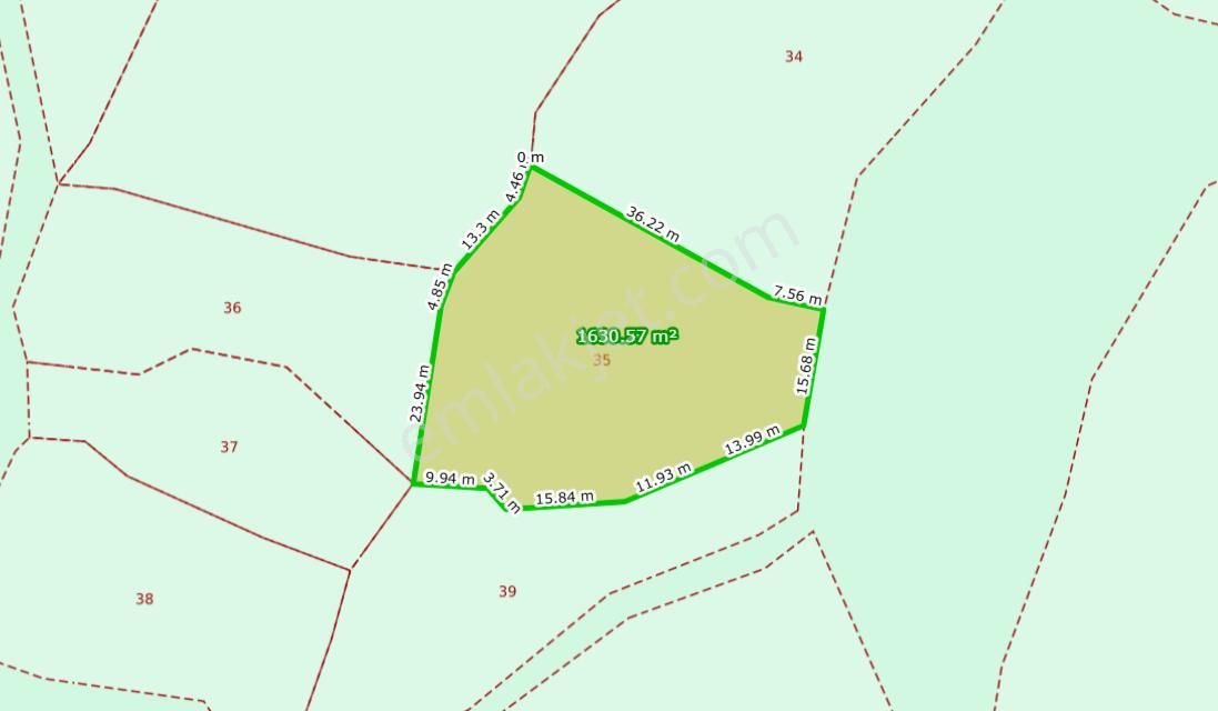 C21 Cius; Katırlı 1630m² Yola Cephe Satılık Bakımlı Zeytinlik - Görsel 6