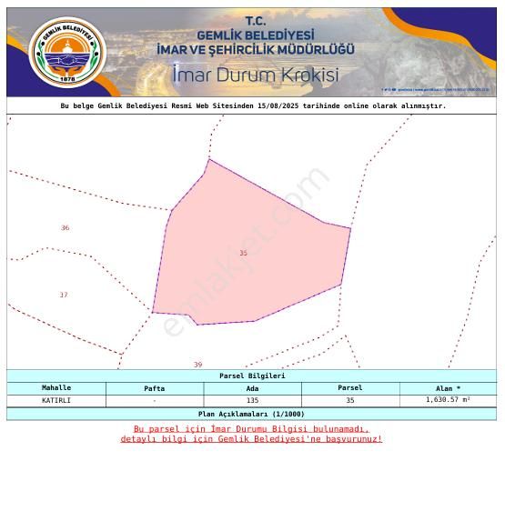 C21 Cius; Katırlı 1630m² Yola Cephe Satılık Bakımlı Zeytinlik - Görsel 5