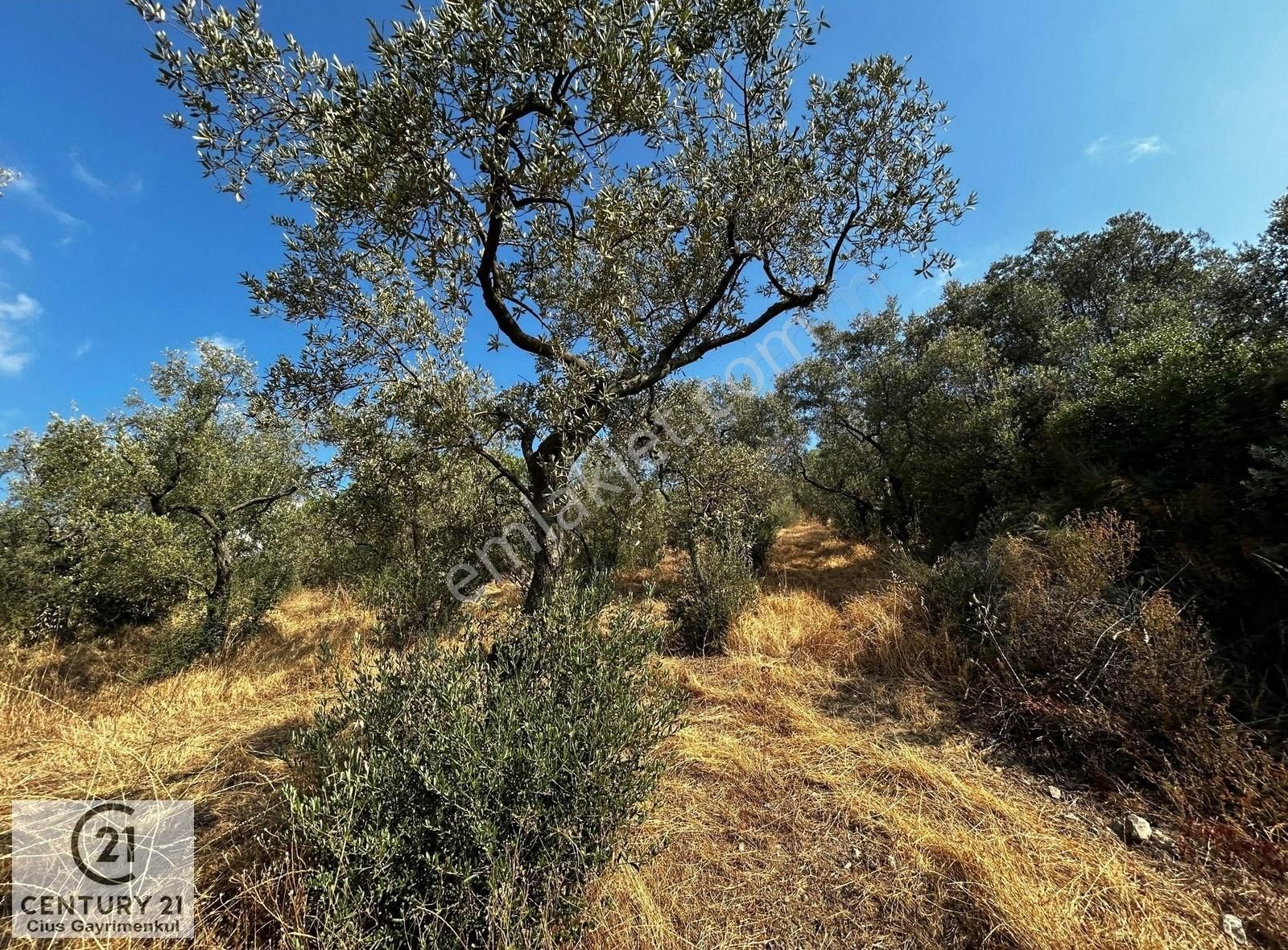 C21 Cius; Hasanağa Koy Üstü Ayrık Nizam 6 Kat 1.60 Emsal Arsa - Görsel 8