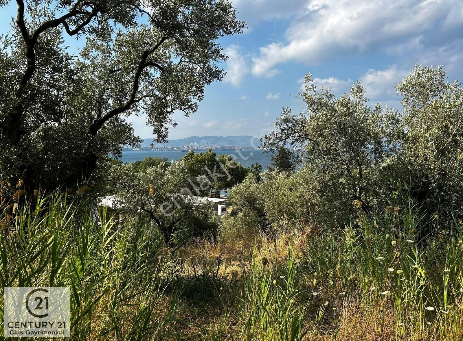 C21 Cius; Hasanağa Cad. Cephe Ayrık Nizam 2 Kat 0.60 Emsal Arsa - Görsel 2