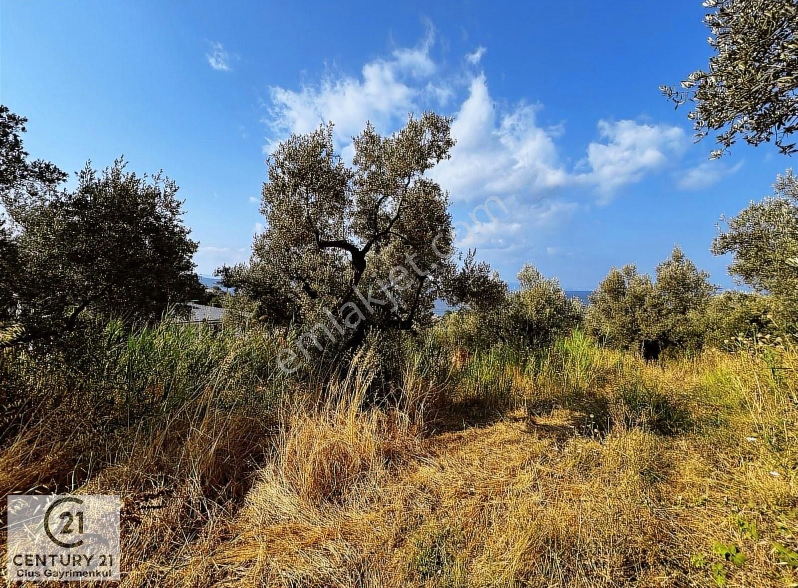 C21 Cius; Hasanağa Cad. Cephe Ayrık Nizam 2 Kat 0.60 Emsal Arsa - Görsel 3