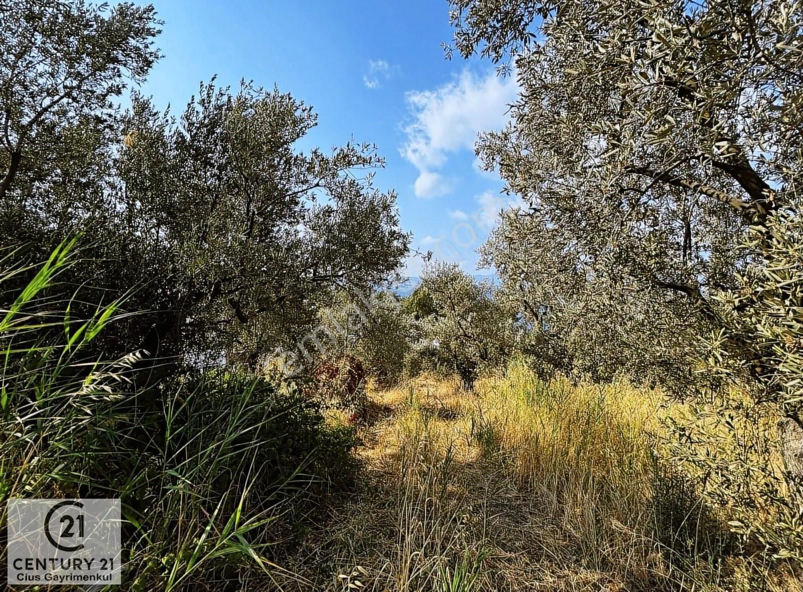 C21 Cius; Hasanağa Cad. Cephe Ayrık Nizam 2 Kat 0.60 Emsal Arsa - Görsel 10