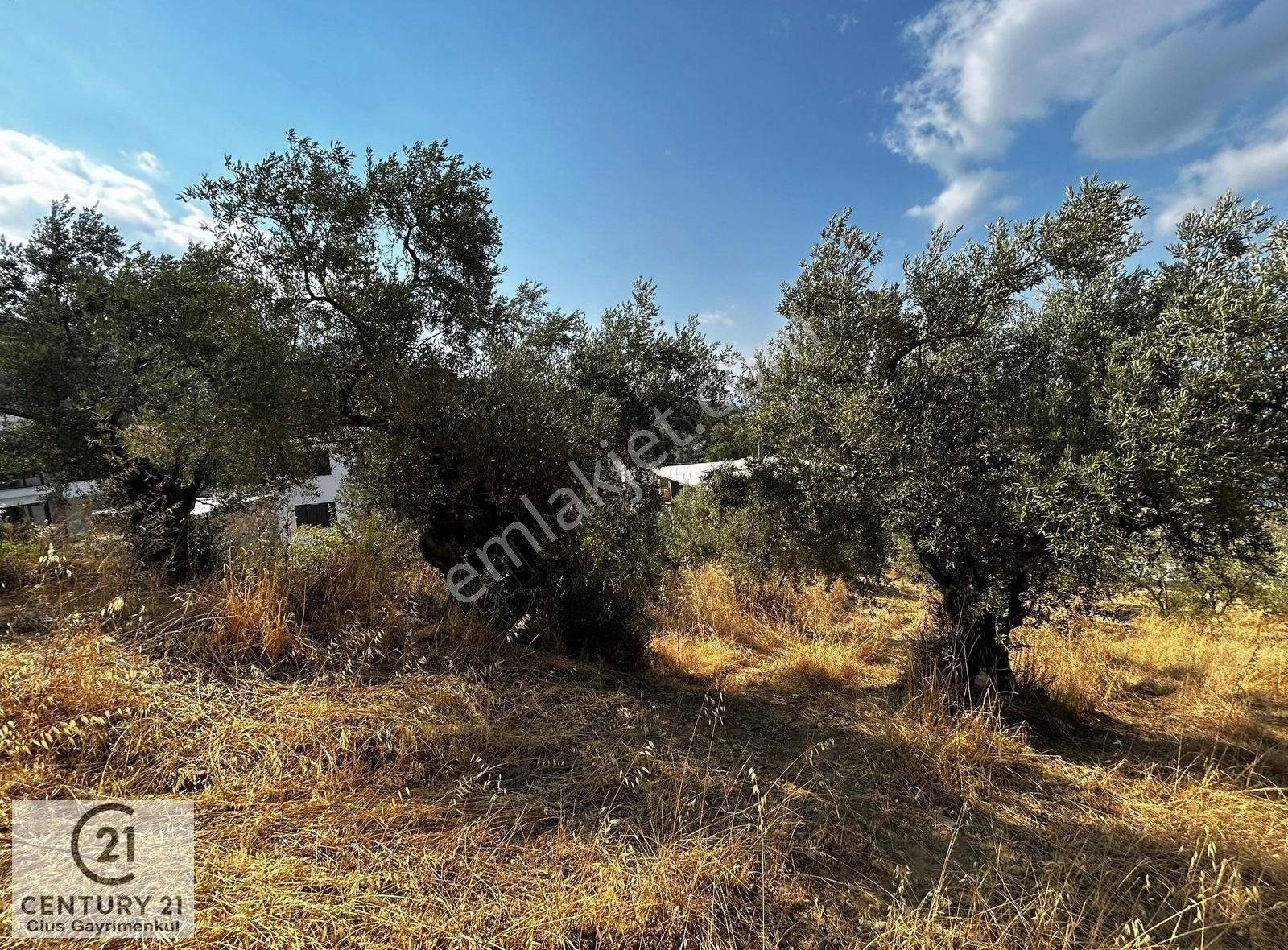 C21 Cius; Hasanağa Cad. Cephe Ayrık Nizam 2 Kat 0.60 Emsal Arsa - Görsel 13