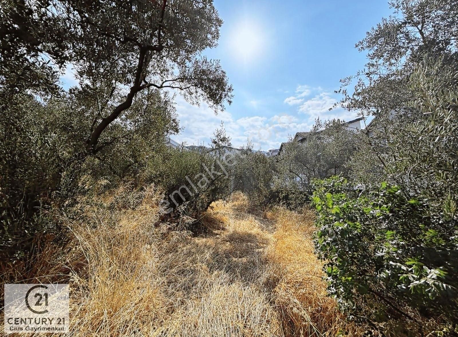 C21 Cius; Hasanağa Koy Üstü Ayrık Nizam 2 Kat 0.60 Emsal Arsa - Görsel 2