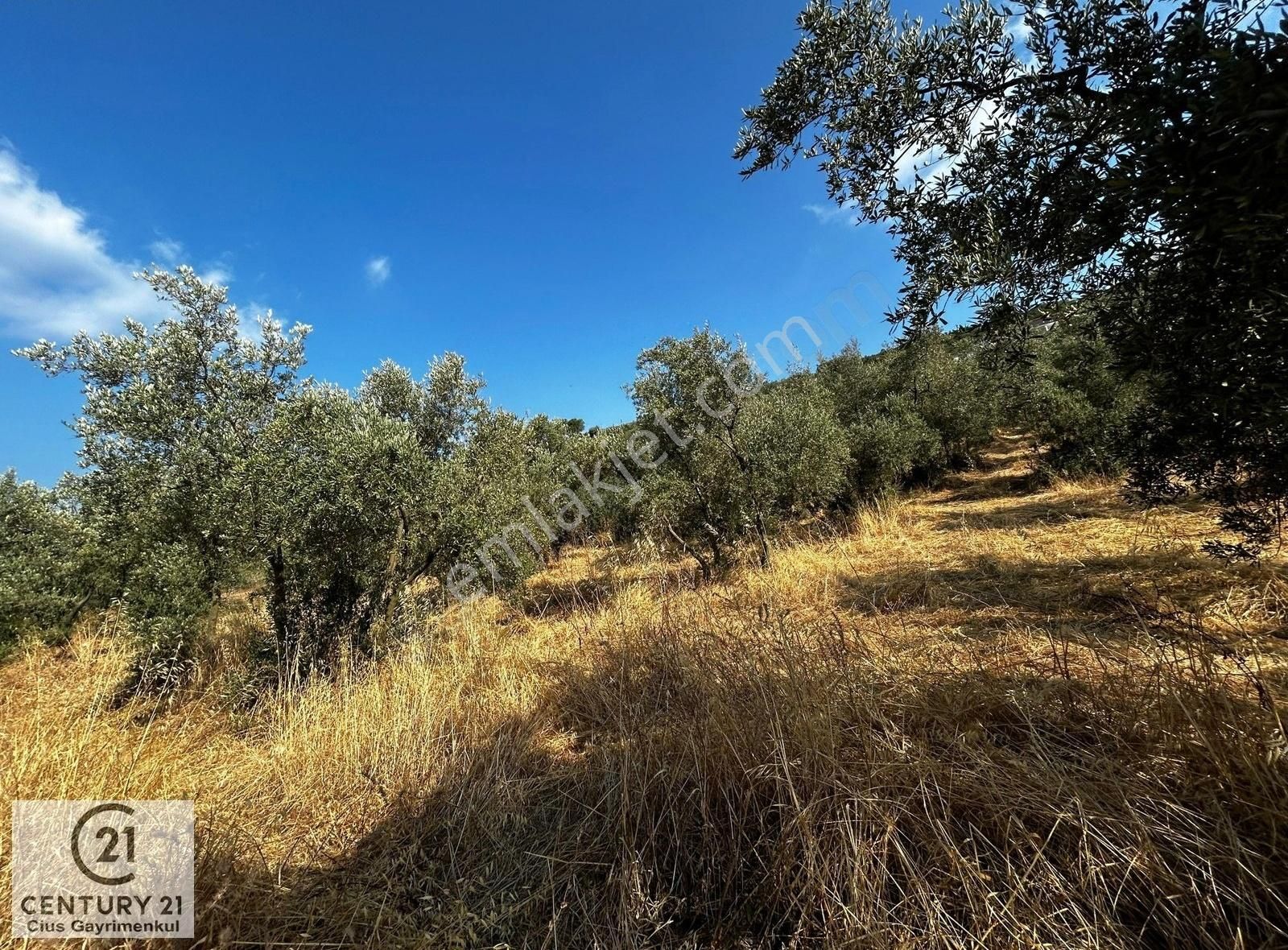 C21 Cius; Hasanağa Koy Üstü Ayrık Nizam 2 Kat 0.60 Emsal Arsa