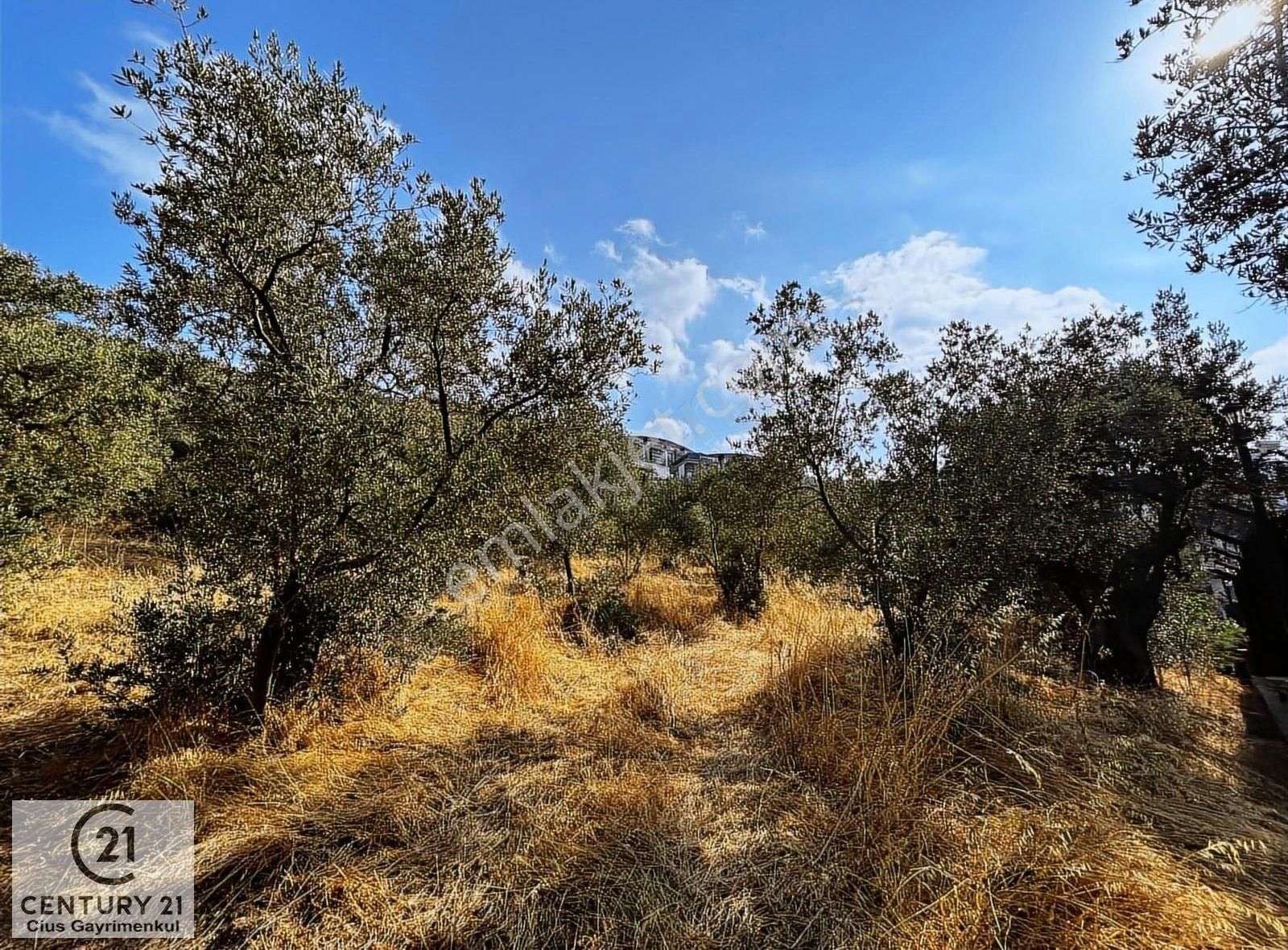 C21 Cius; Hasanağa Koy Üstü Ayrık Nizam 2 Kat 0.60 Emsal Arsa - Görsel 6