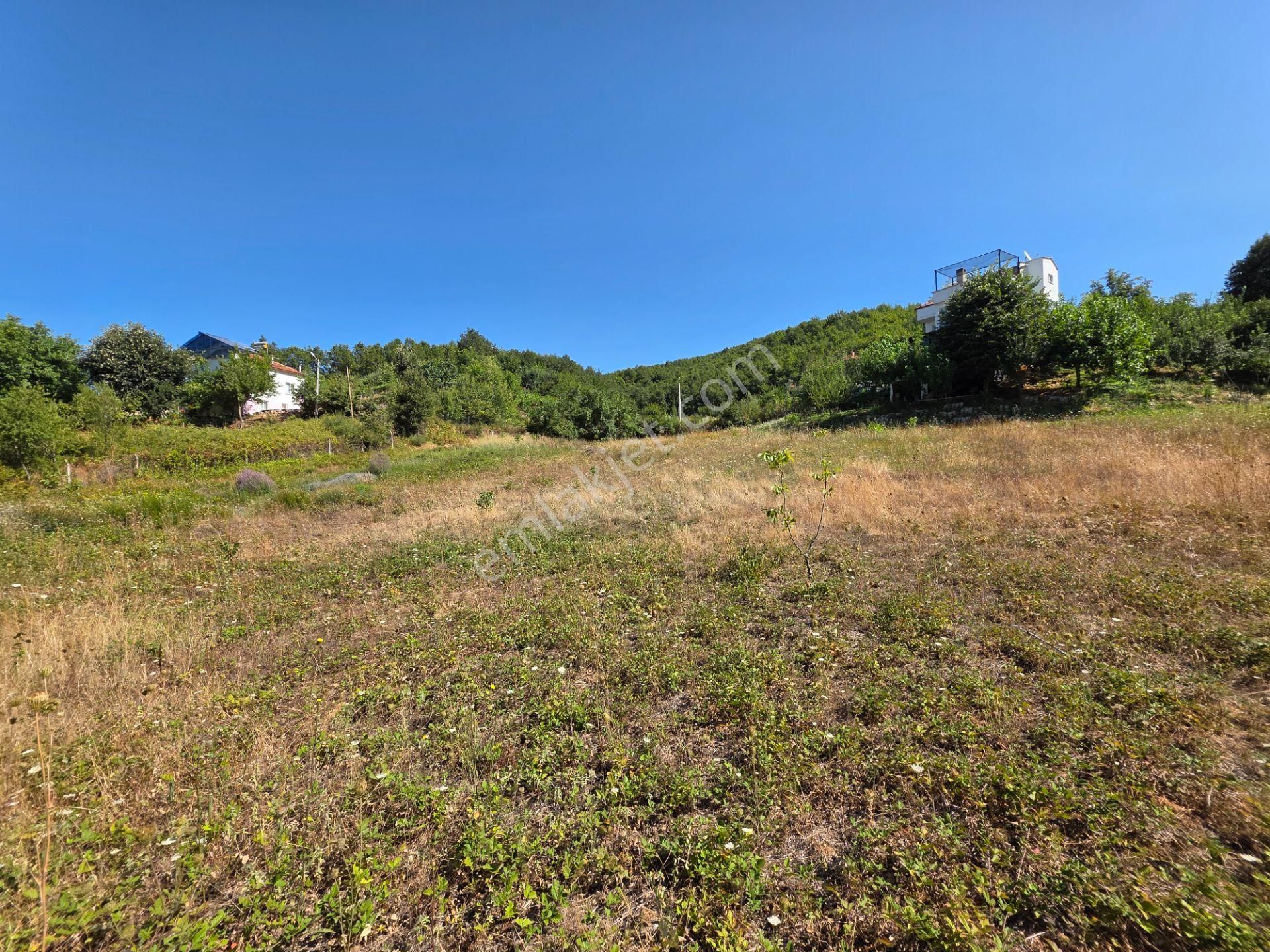 C21 Cius; Haydariye Yola Cephe 4 Bitişik Parsel Müstakil Tapu Satılık İmarlı Arsa - Görsel 35