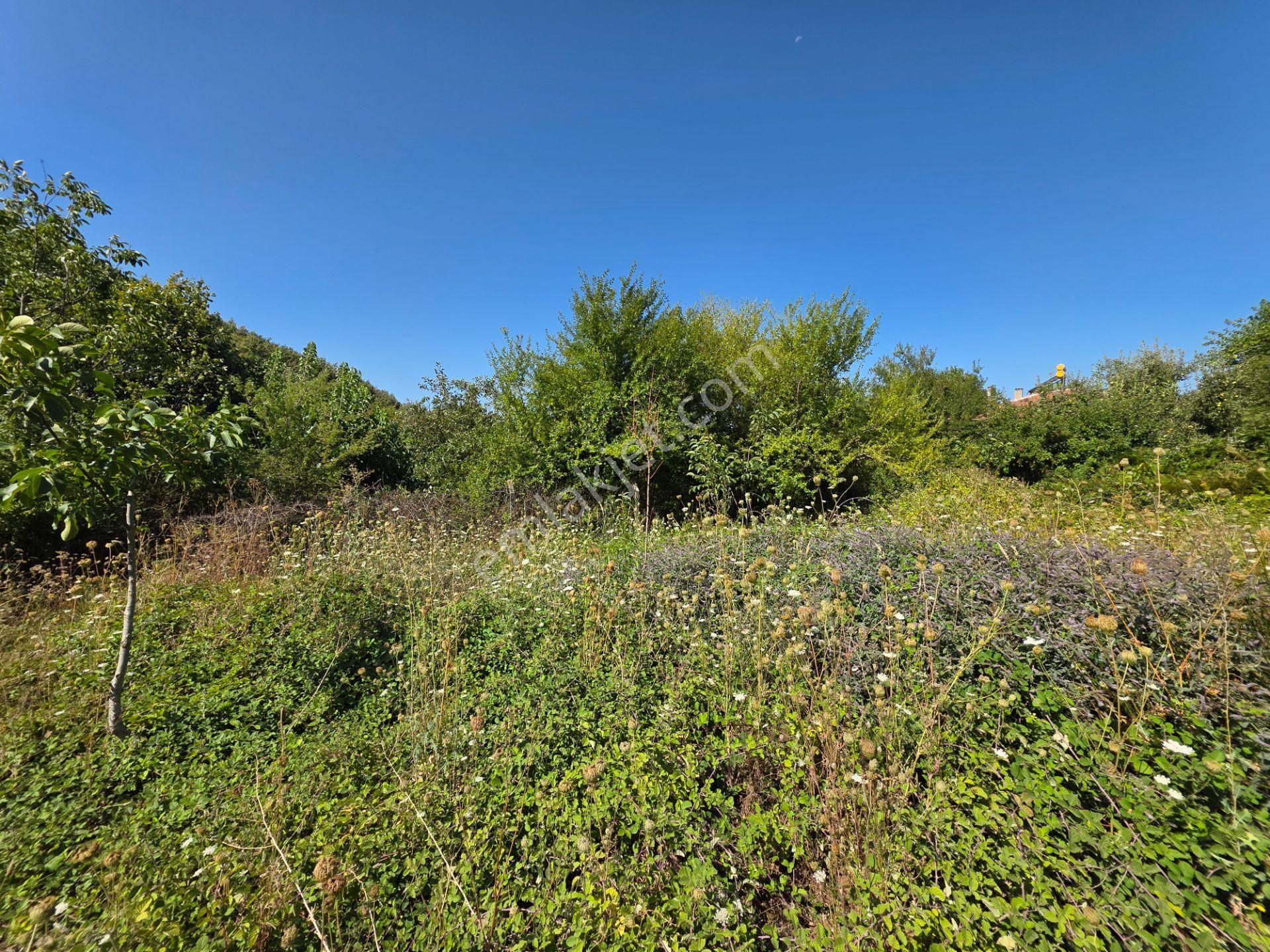 C21 Cius; Haydariye Yola Cephe 4 Bitişik Parsel Müstakil Tapu Satılık İmarlı Arsa - Görsel 34