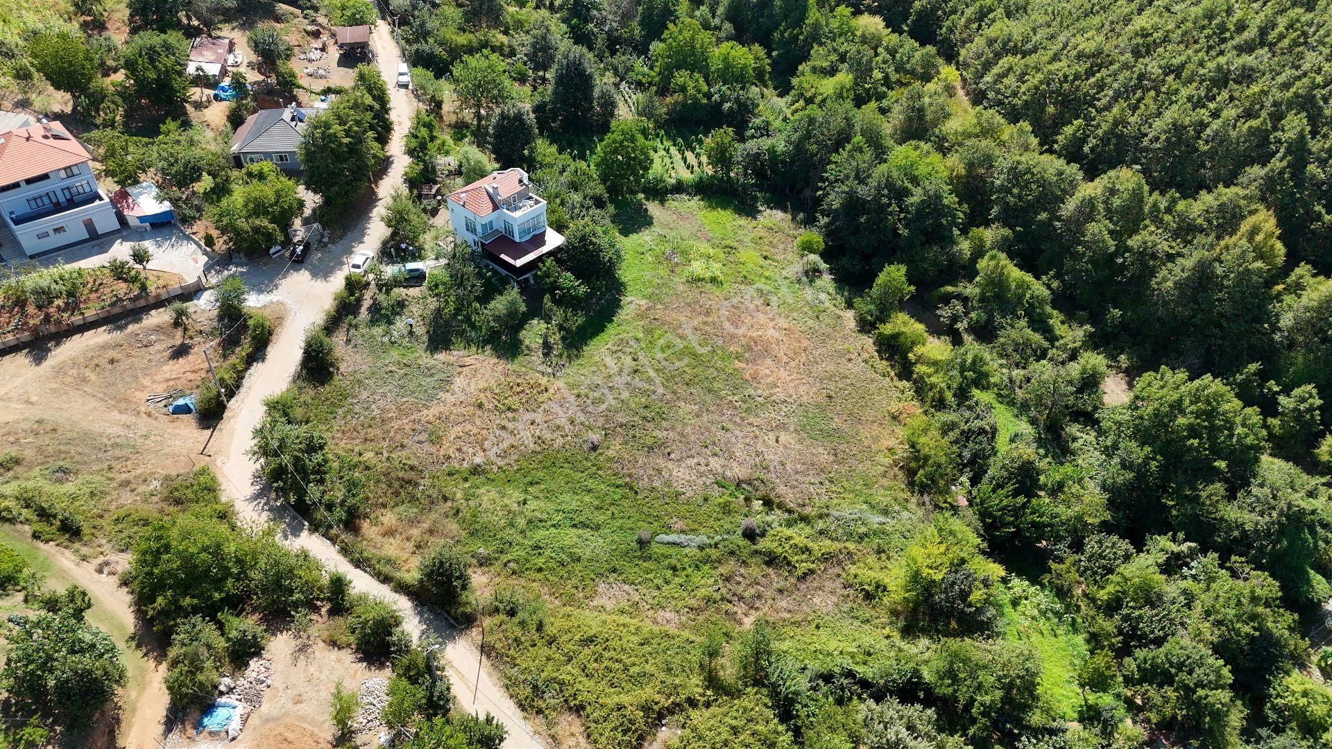 C21 Cius; Haydariye Yola Cephe 4 Bitişik Parsel Müstakil Tapu Satılık İmarlı Arsa - Görsel 7