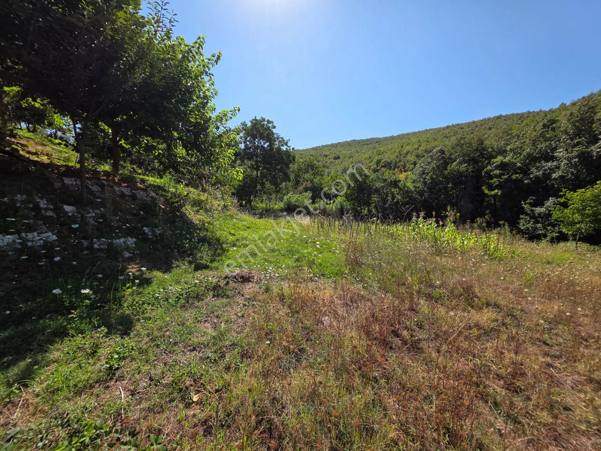 C21 Cius; Haydariye Yola Cephe 4 Bitişik Parsel Müstakil Tapu Satılık İmarlı Arsa - Görsel 30