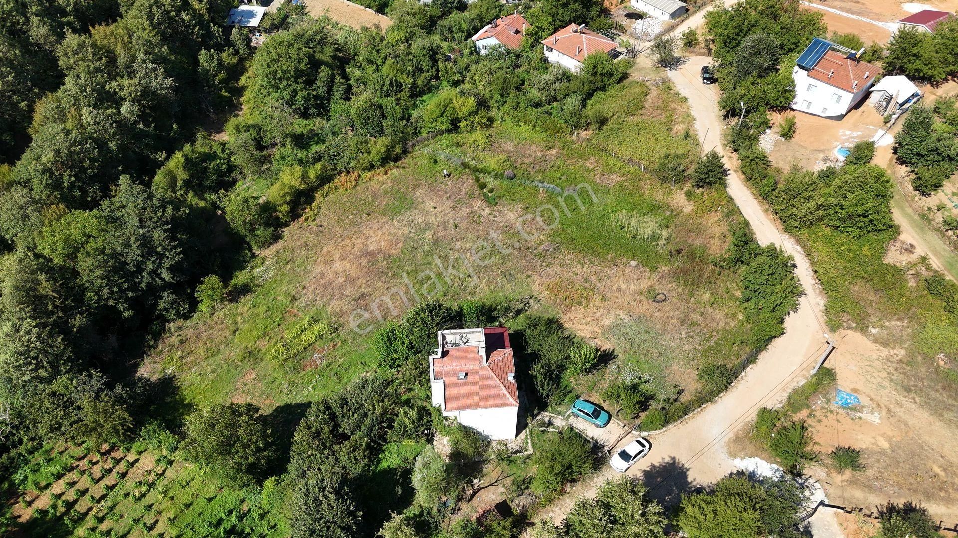 C21 Cius; Haydariye Yola Cephe 4 Bitişik Parsel Müstakil Tapu Satılık İmarlı Arsa - Görsel 5