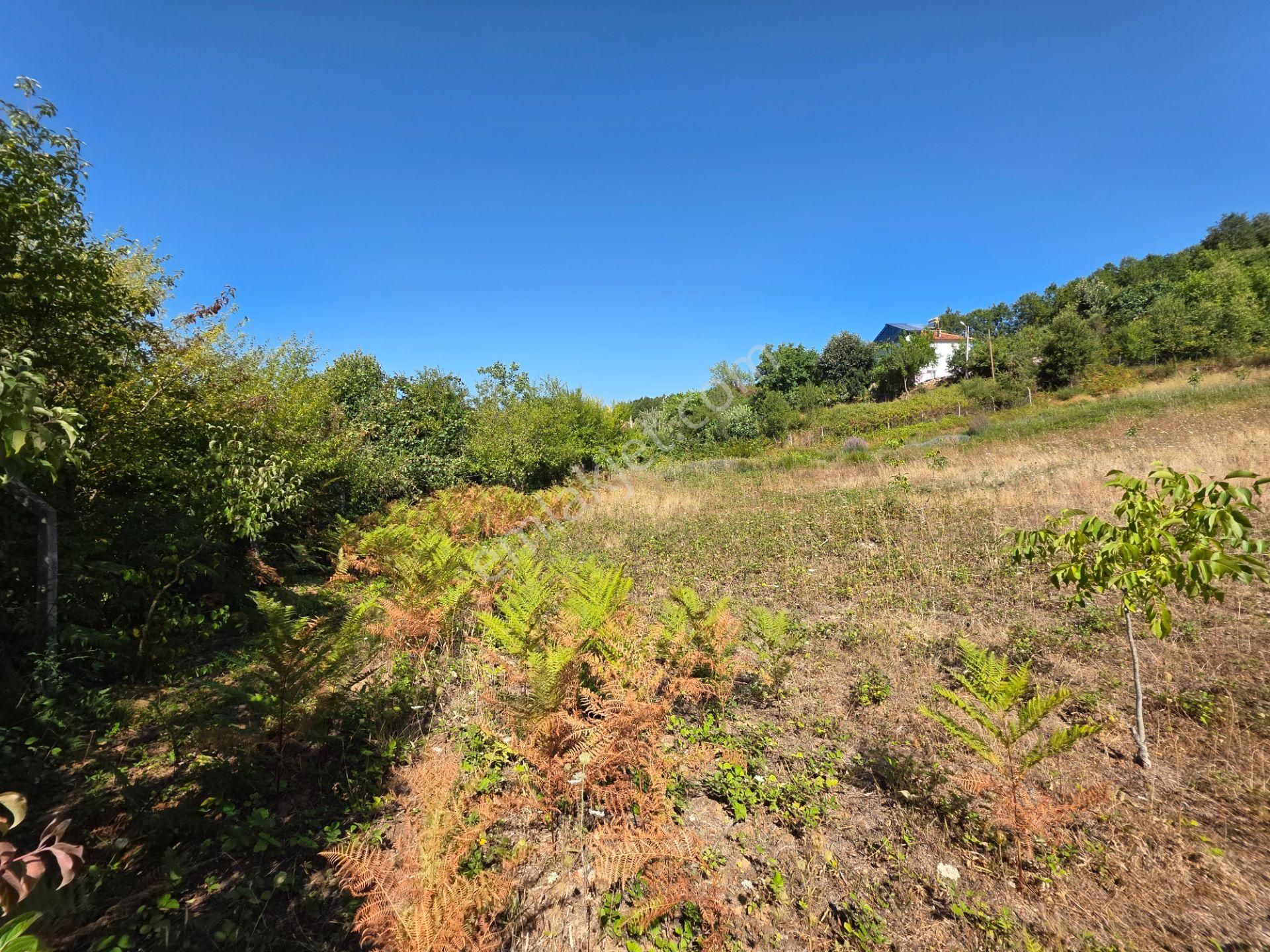 C21 Cius; Haydariye Yola Cephe 4 Bitişik Parsel Müstakil Tapu Satılık İmarlı Arsa - Görsel 33