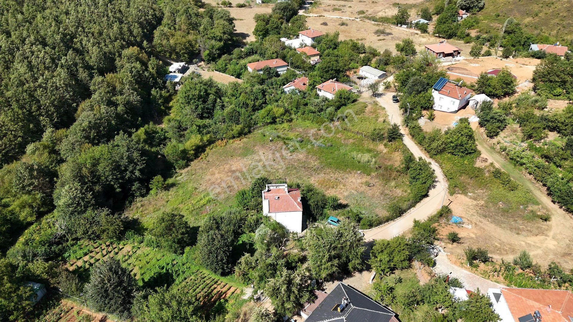 C21 Cius; Haydariye Yola Cephe 4 Bitişik Parsel Müstakil Tapu Satılık İmarlı Arsa - Görsel 12