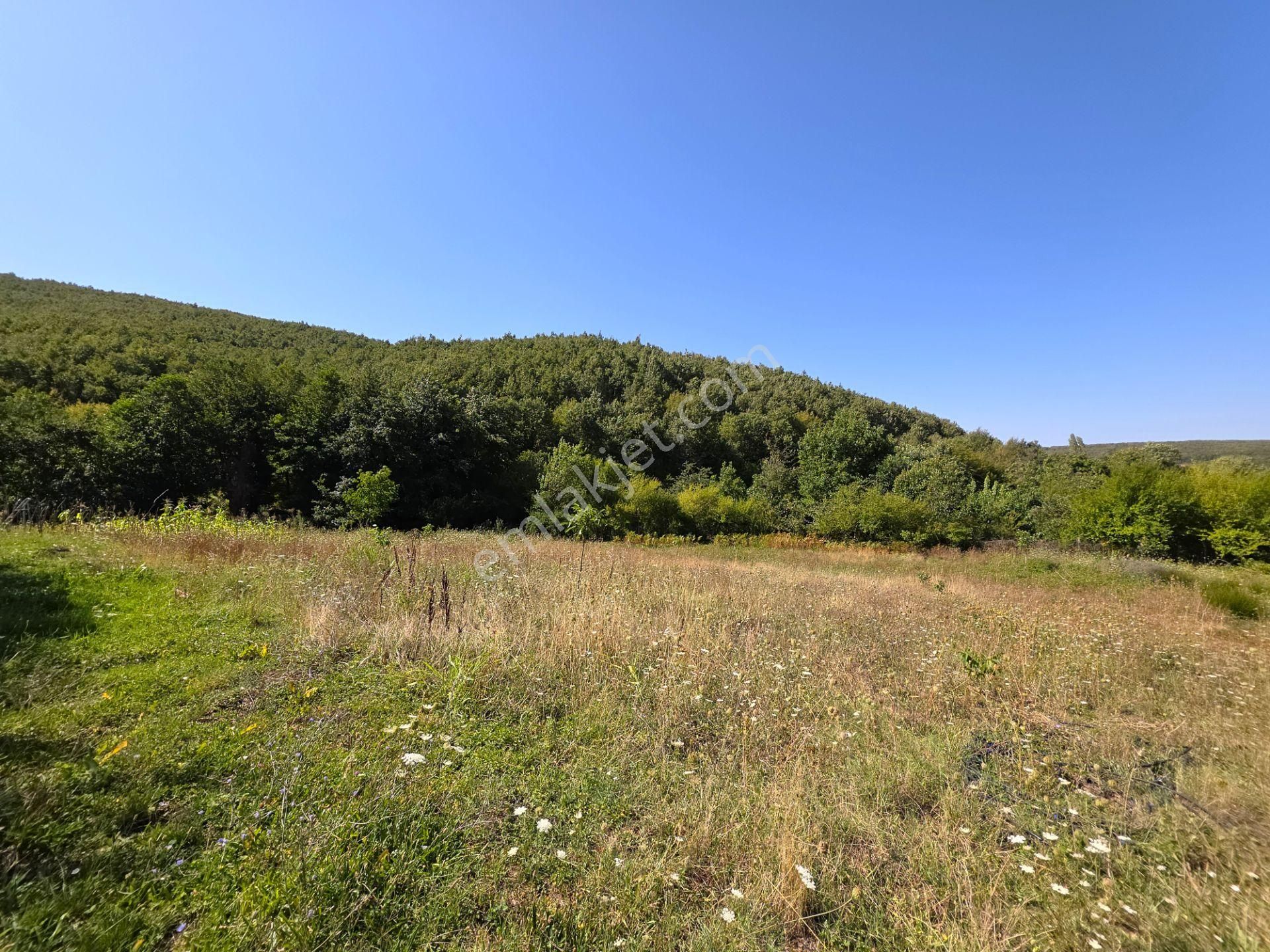 C21 Cius; Haydariye Yola Cephe 4 Bitişik Parsel Müstakil Tapu Satılık İmarlı Arsa - Görsel 24