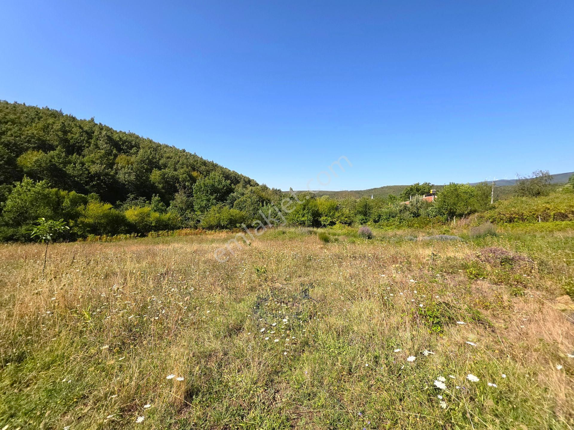 C21 Cius; Haydariye Yola Cephe 4 Bitişik Parsel Müstakil Tapu Satılık İmarlı Arsa - Görsel 23