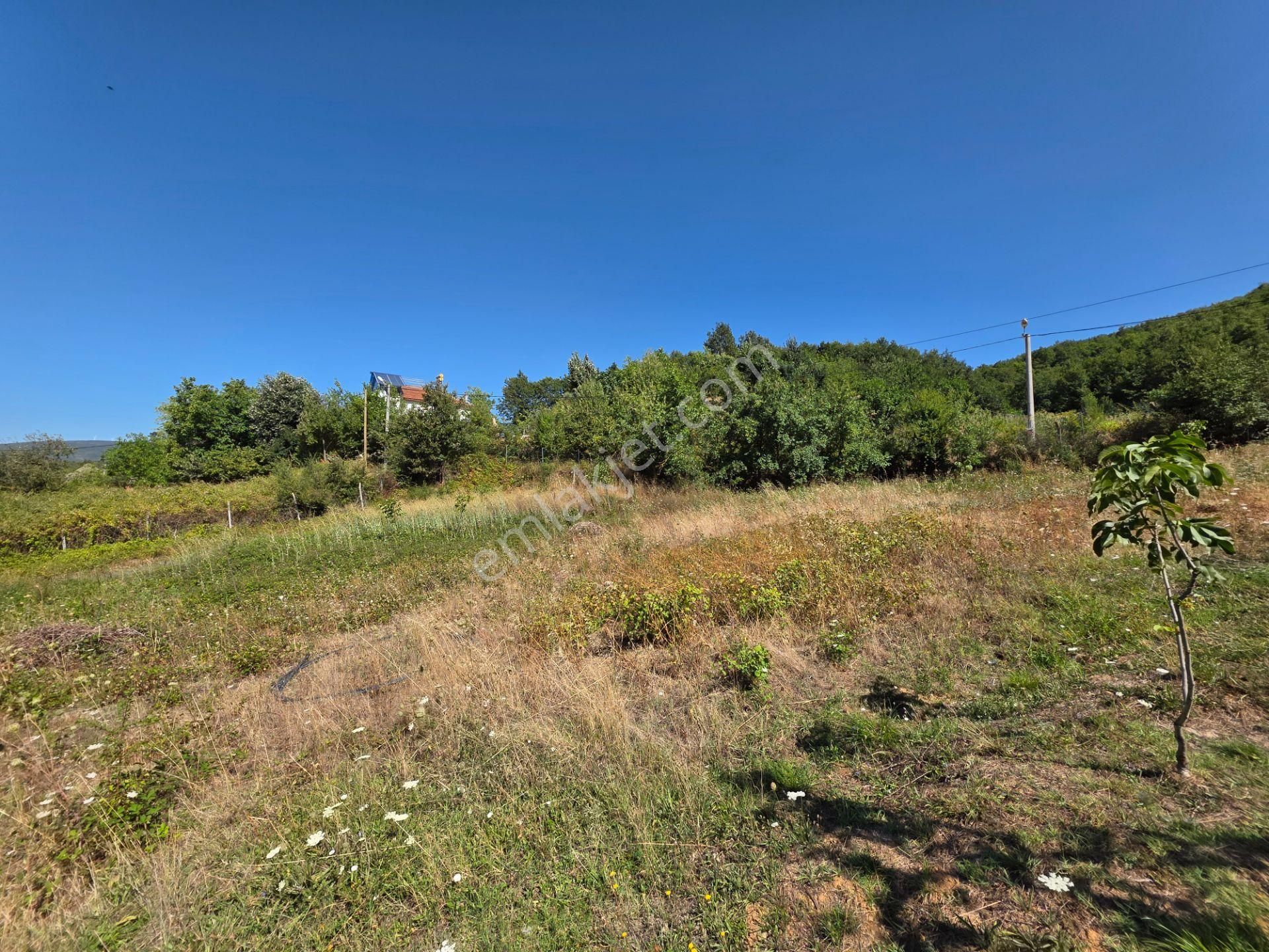 C21 Cius; Haydariye Yola Cephe 4 Bitişik Parsel Müstakil Tapu Satılık İmarlı Arsa - Görsel 26