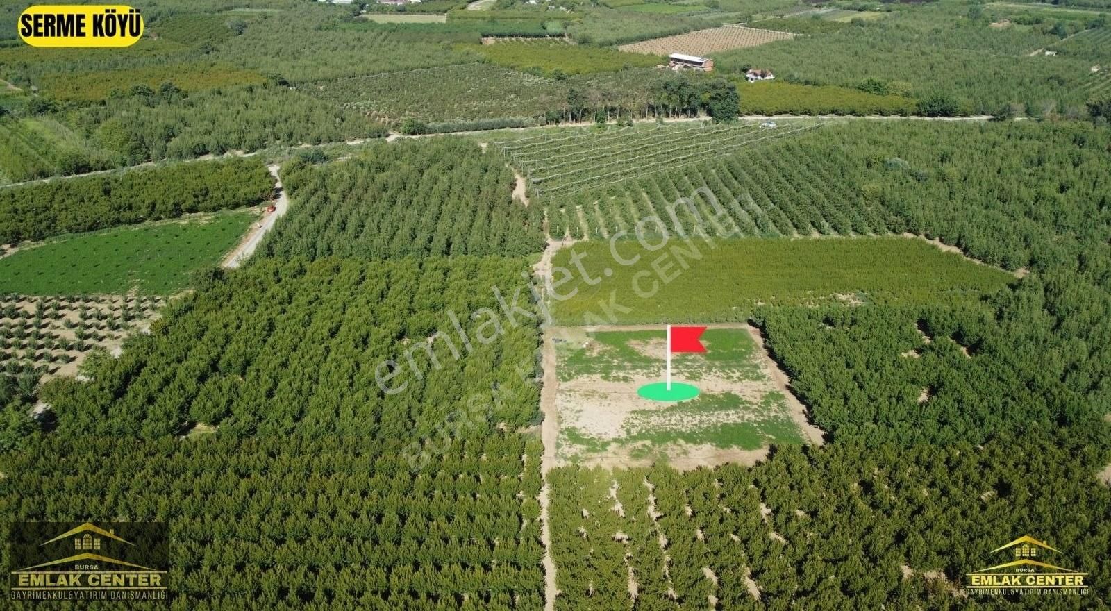 Kestel Serme De 2033 M2 Tek Tapu Tarla - Görsel 5