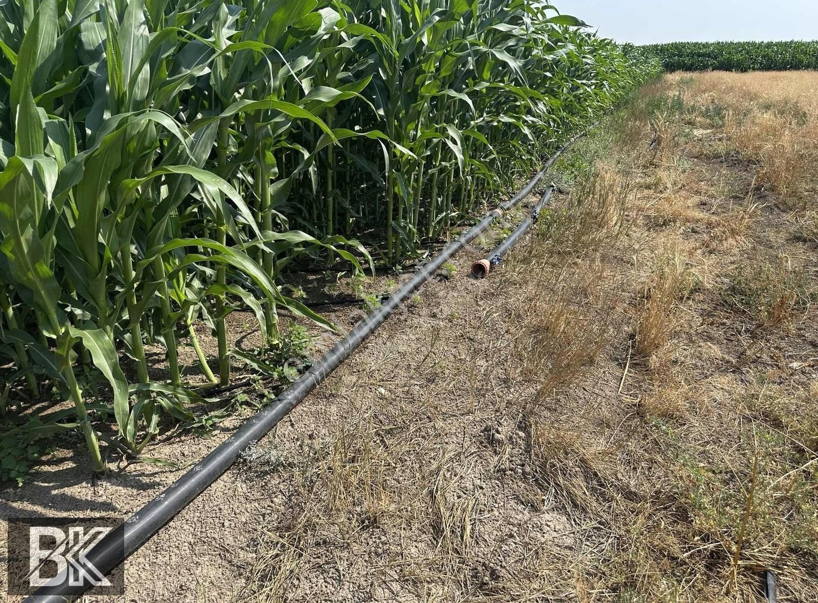 Afyonkarahisar Dazkırı Asfalta Sıfır Konumda3550 M2 - Görsel 3