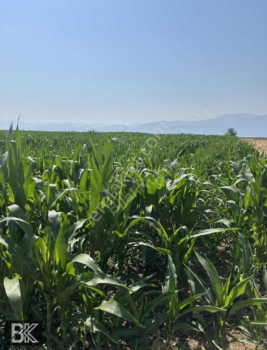 Afyonkarahisar Dazkırı Asfalta Sıfır Konumda3550 M2 - Görsel 7