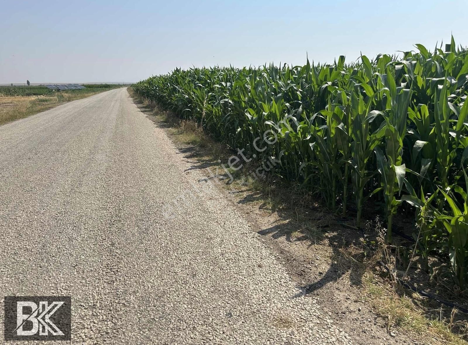 Afyonkarahisar Dazkırı Asfalta Sıfır Konumda3550 M2 - Görsel 22