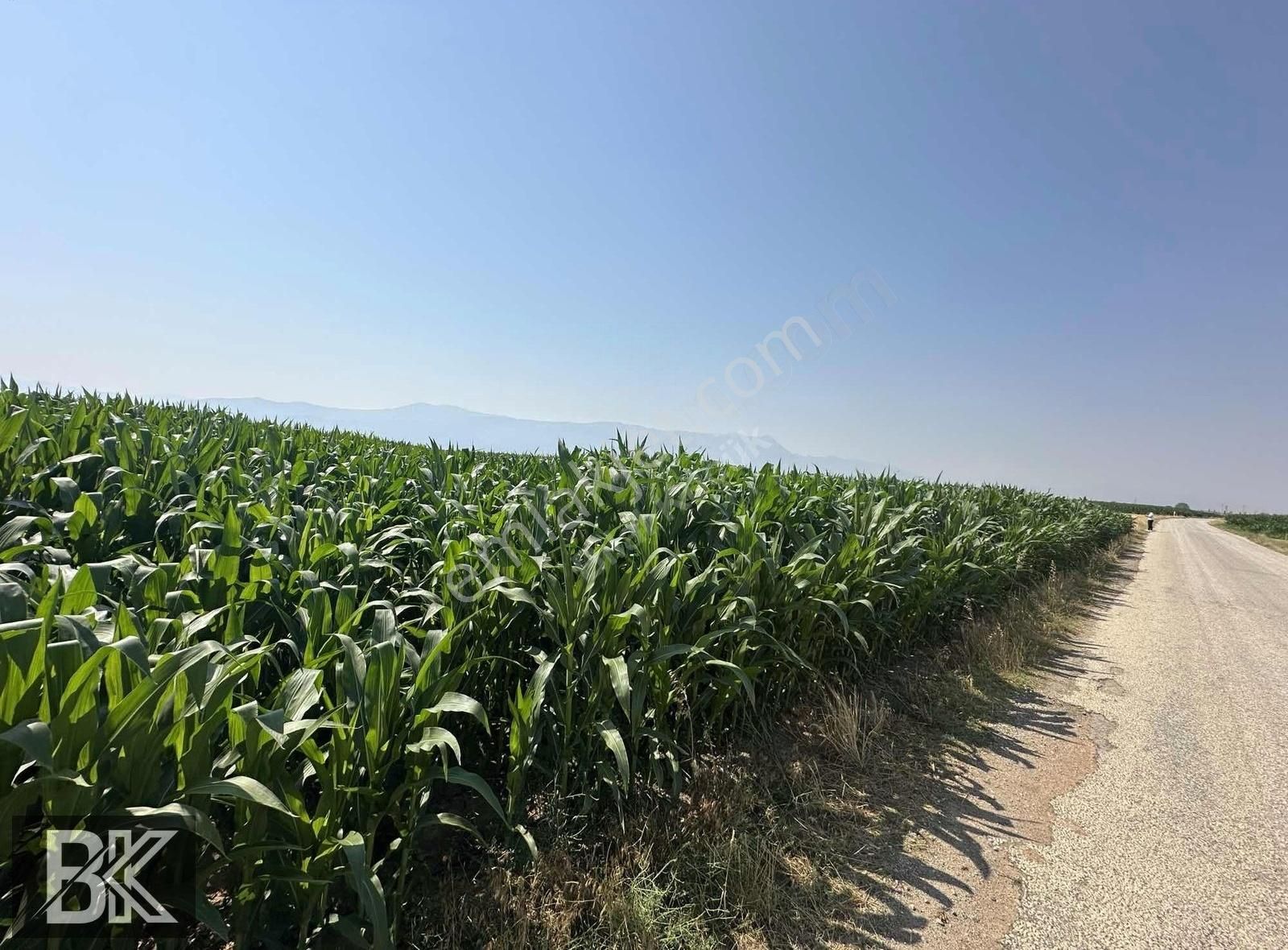 Afyonkarahisar Dazkırı Asfalta Sıfır Konumda3550 M2 - Görsel 6