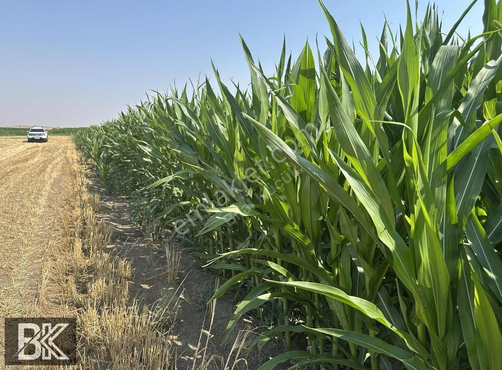 Afyonkarahisar Dazkırı Asfalta Sıfır Konumda3550 M2 - Görsel 10