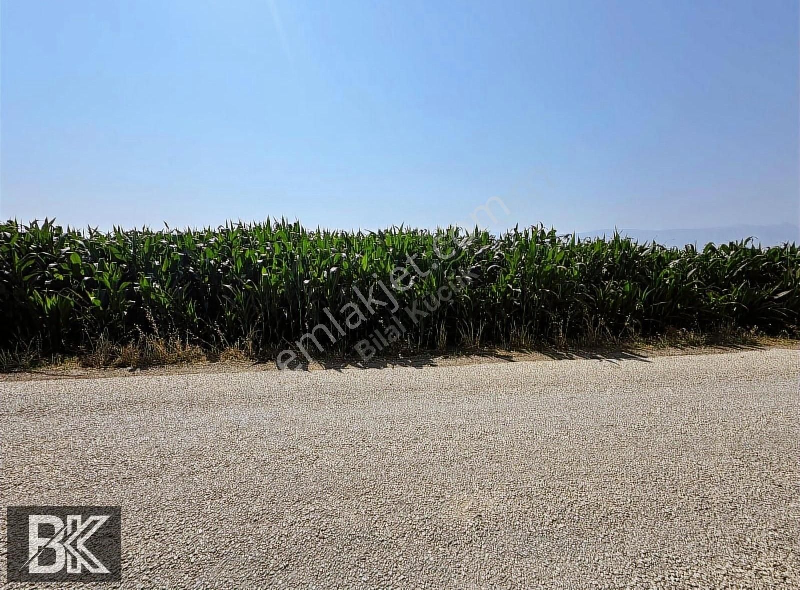 Afyonkarahisar Dazkırı Asfalta Sıfır Konumda3550 M2 - Görsel 11