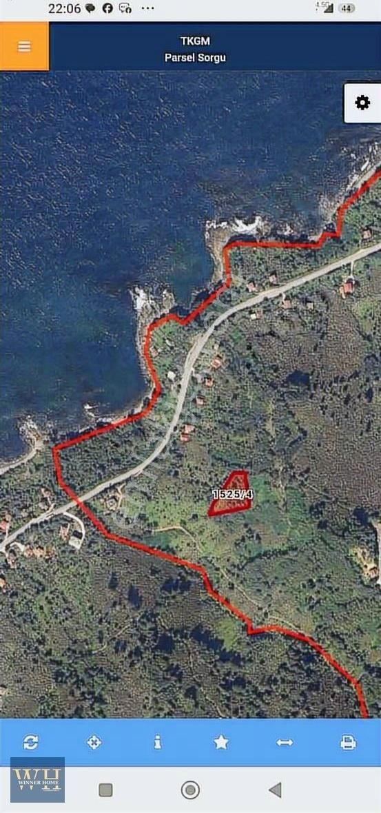 Perşembe Çaytepe Mevkiinde Sahile Yakın Fındık Bahçesi - Görsel 7