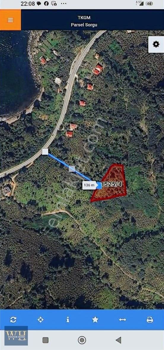 Perşembe Çaytepe Mevkiinde Sahile Yakın Fındık Bahçesi - Görsel 8