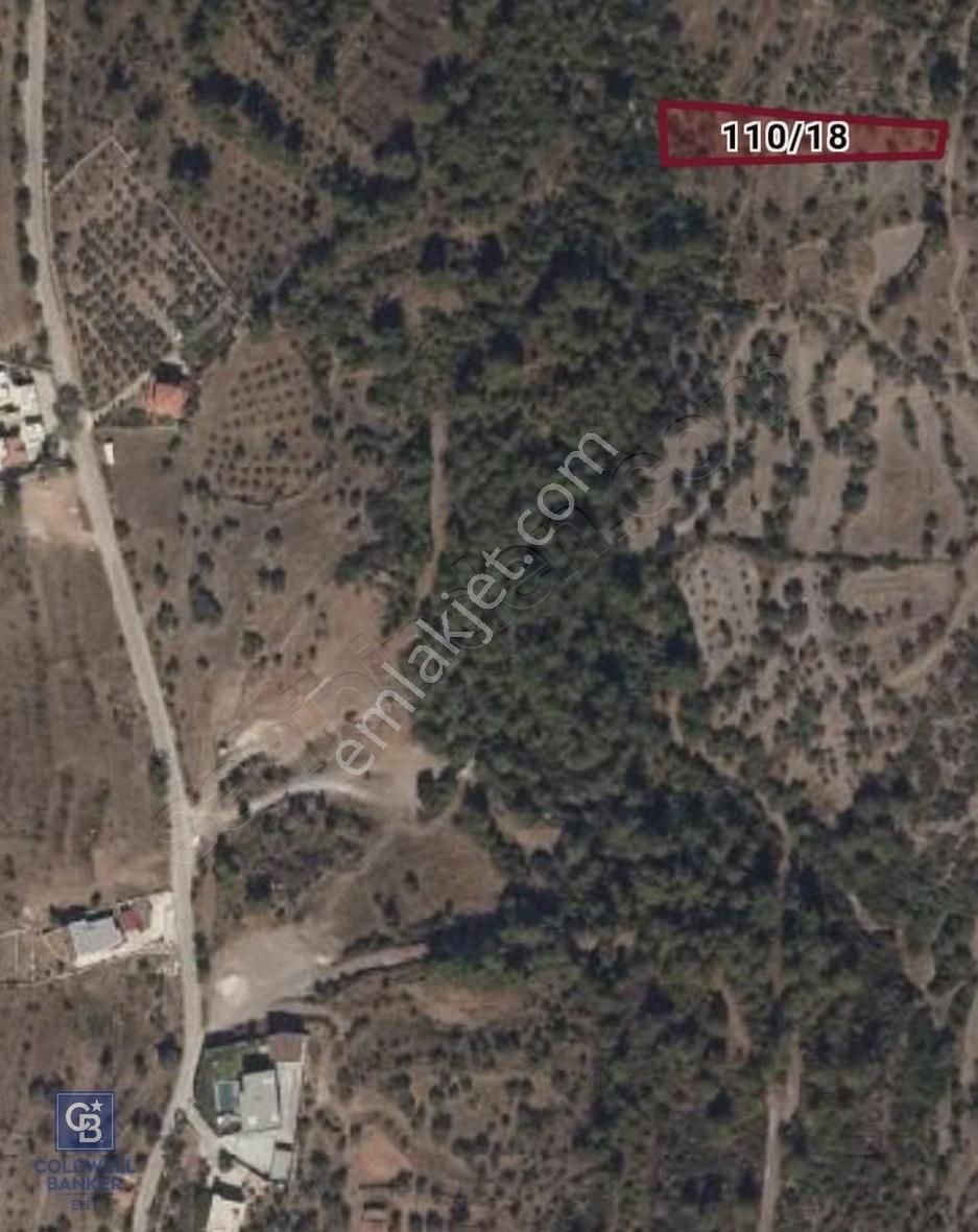 Milas Beycilerde İmar Sınırında Kaçmaz Fırsat Tarla - Görsel 2