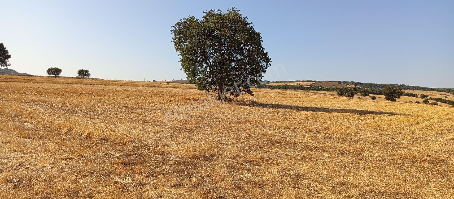 Bursa Nilüfer Çatalağıl Mahallesi Satılık 6100 Mt2 Tarla - Görsel 16