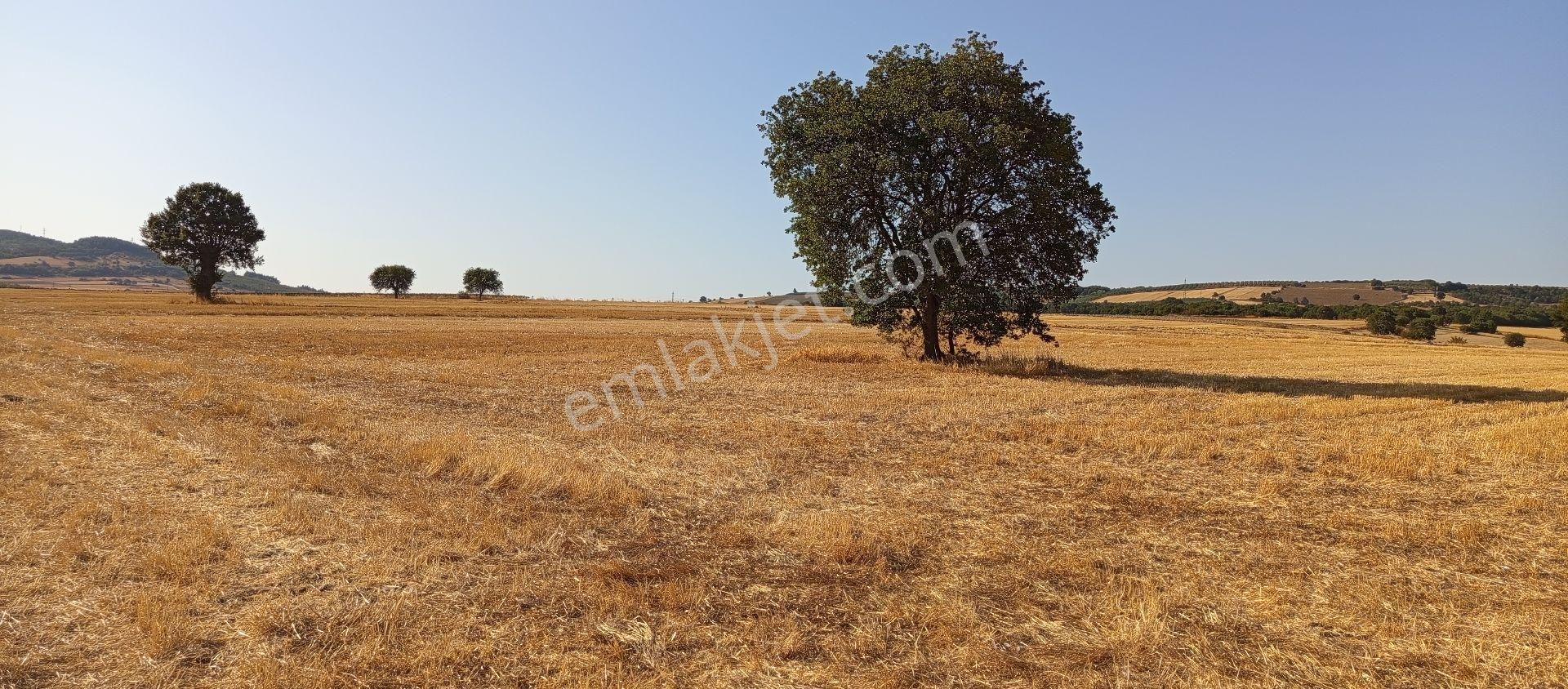 Bursa Nilüfer Çatalağıl Mahallesi Satılık 6100 Mt2 Tarla - Görsel 15