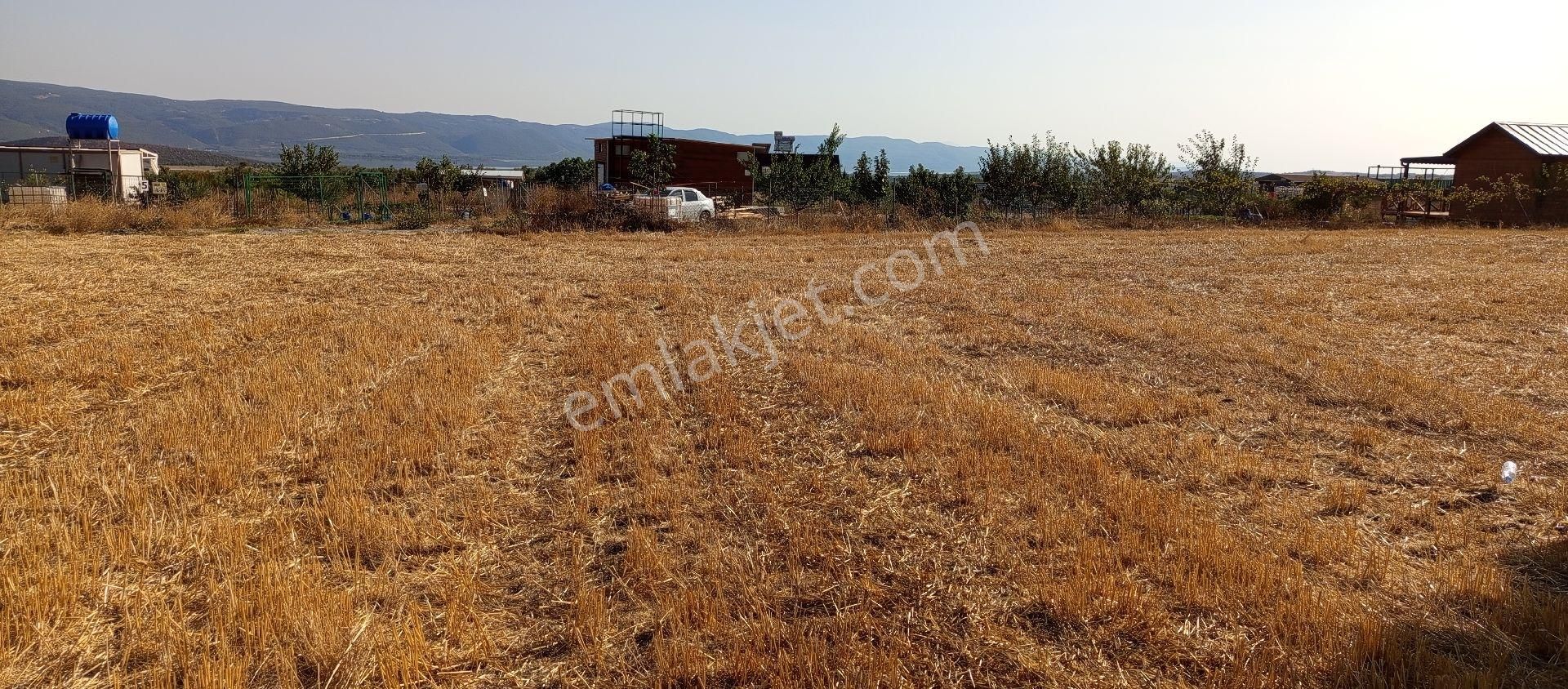 Bursa Nilüfer Çatalağıl Mahallesi Satılık 6100 Mt2 Tarla - Görsel 8