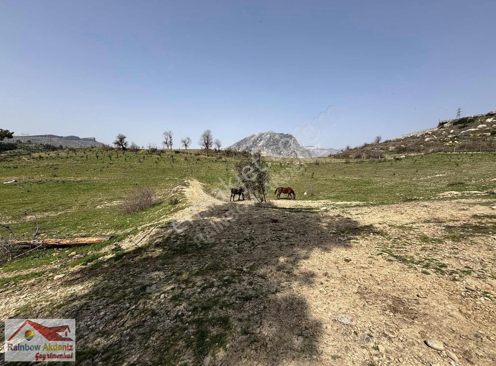 Oymapınarda Satılık Göl Manzaralı 21 Dönüm Tarla.. - Görsel 12