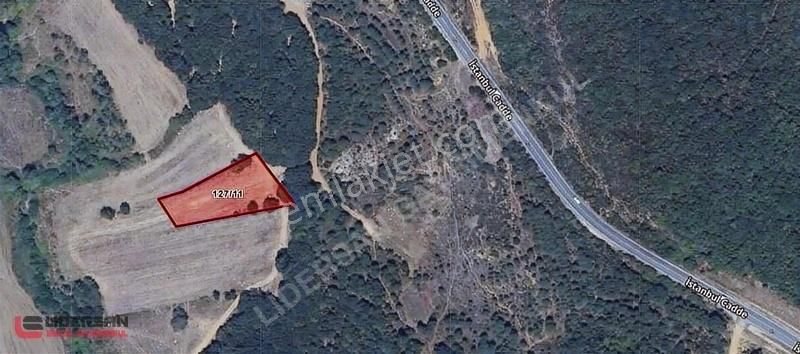 Satılık Çatalca Akalan'da 1.860 M² Tek Tapu Yolu Var