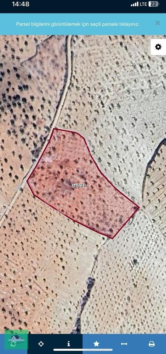 Nizip Kocatepede (zeytinyağı Üretim Tesisi İçin) Satılık Arazi - Görsel 4