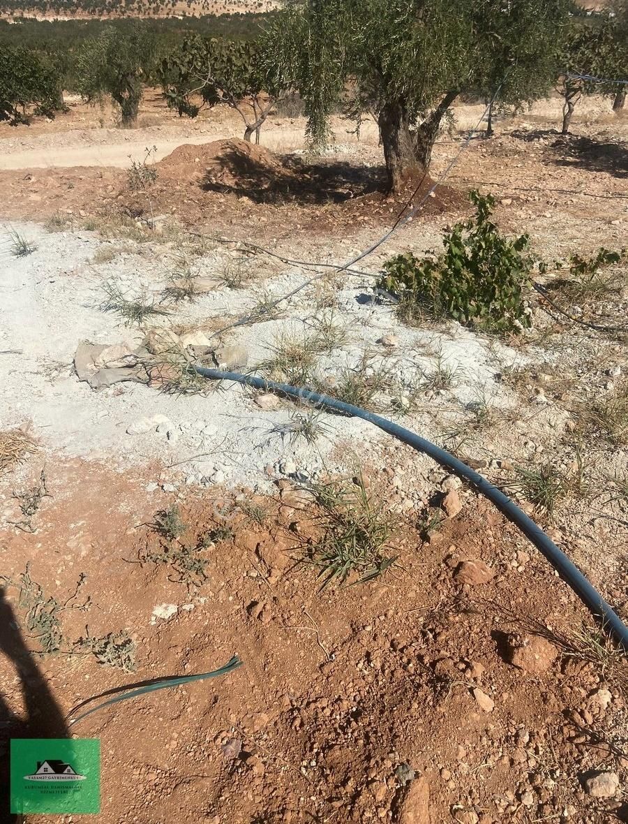 Nizip Kocatepede (zeytinyağı Üretim Tesisi İçin) Satılık Arazi - Görsel 11