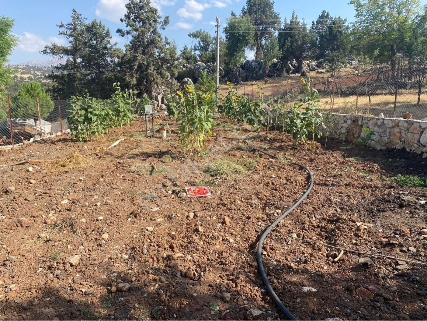 Satılık Arsa