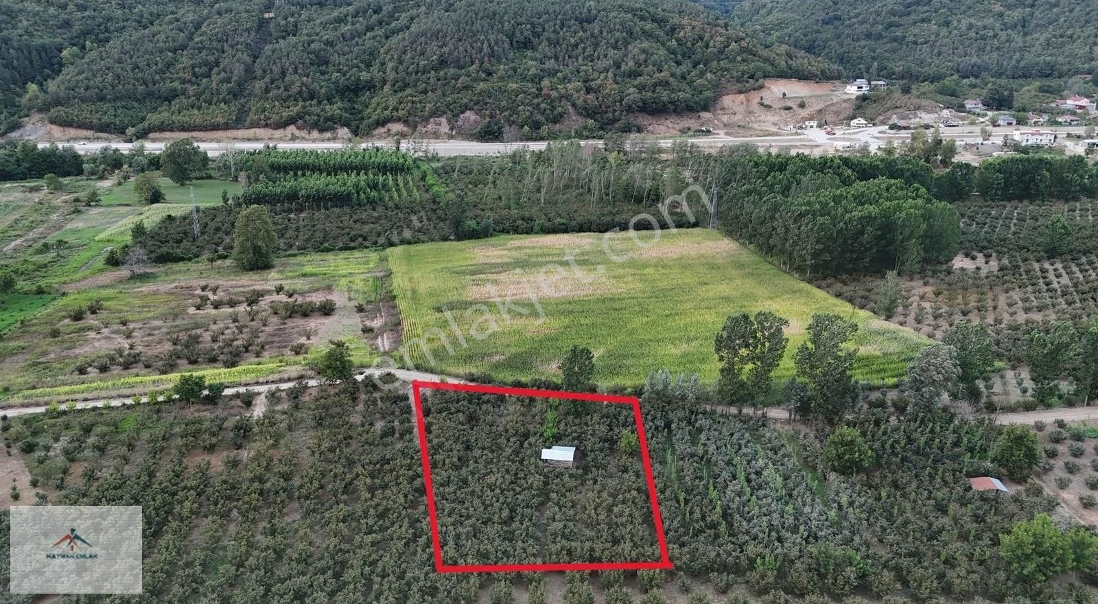 Hobi Bahcesi Yapmaya Uygun Resmi Yolu Olan Satılık Fındık Bahces - Görsel 20