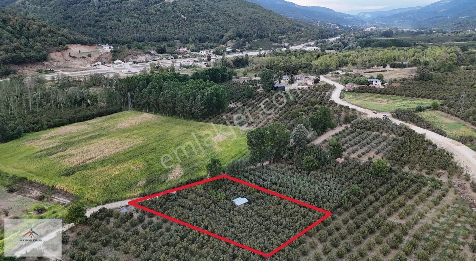 Hobi Bahcesi Yapmaya Uygun Resmi Yolu Olan Satılık Fındık Bahces - Görsel 18