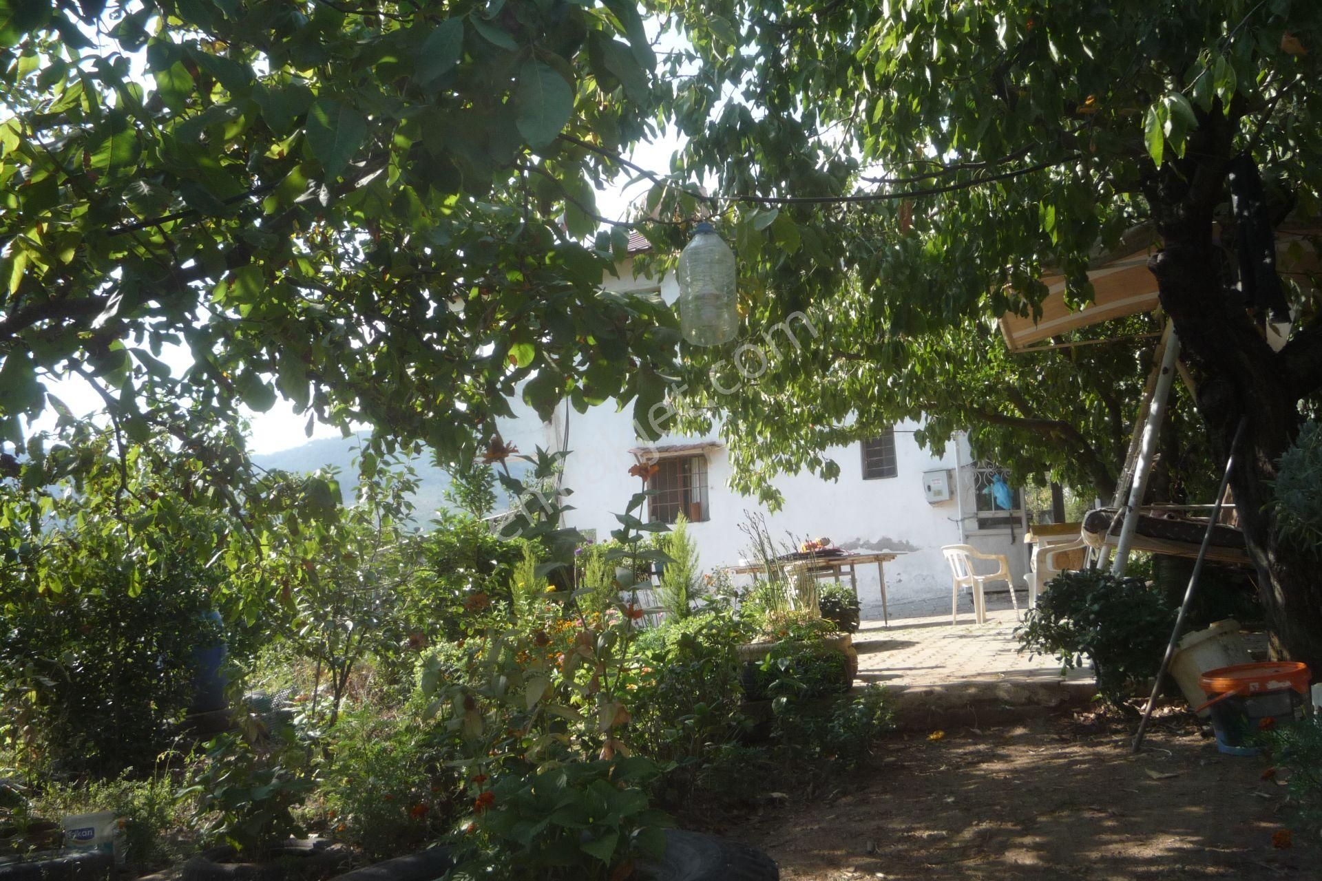 İzmir Torbalı Gold Emlaktan Alankıyıda Satılık Arsa Bahçe - Görsel 10