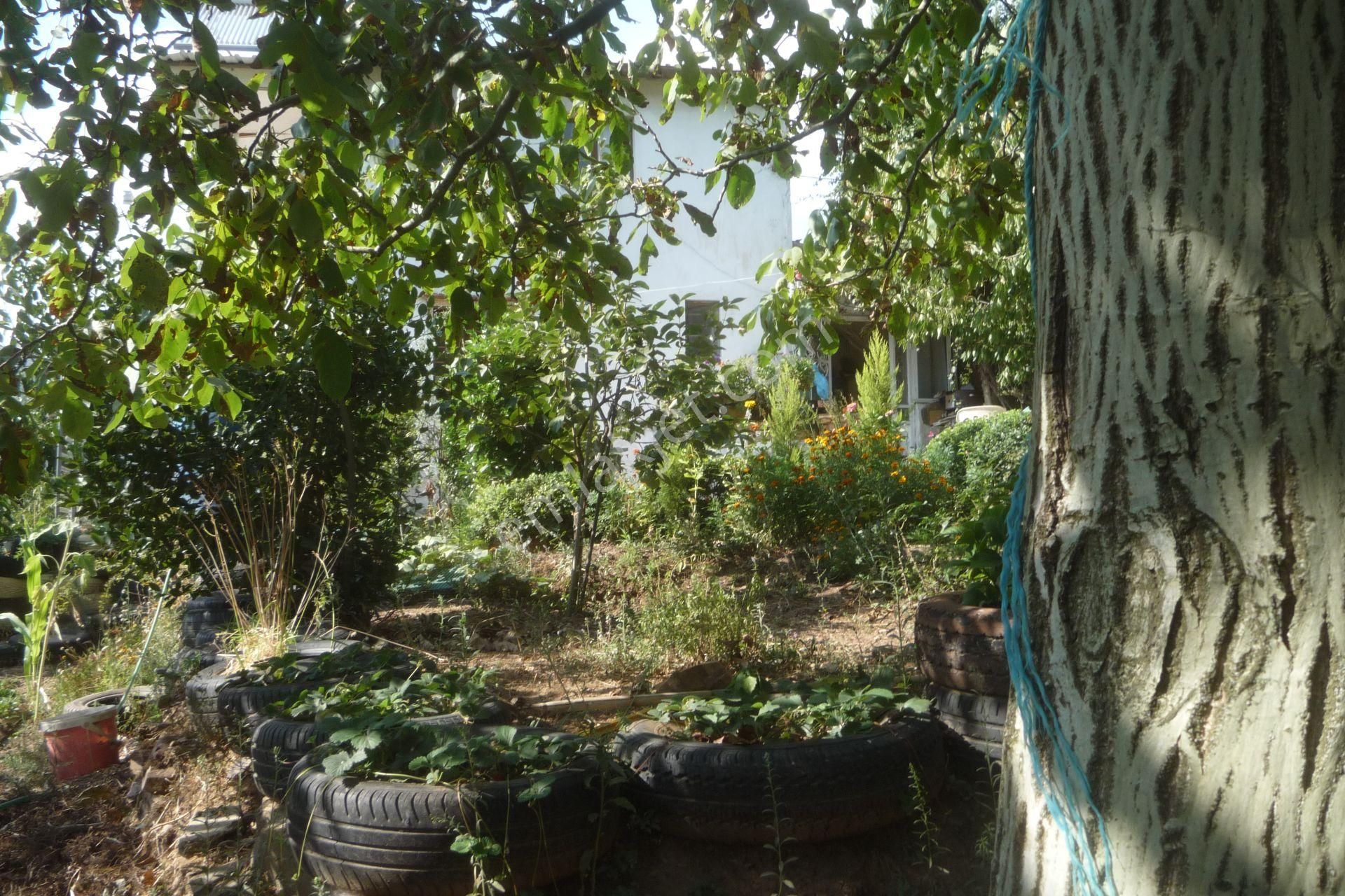 İzmir Torbalı Gold Emlaktan Alankıyıda Satılık Arsa Bahçe - Görsel 15