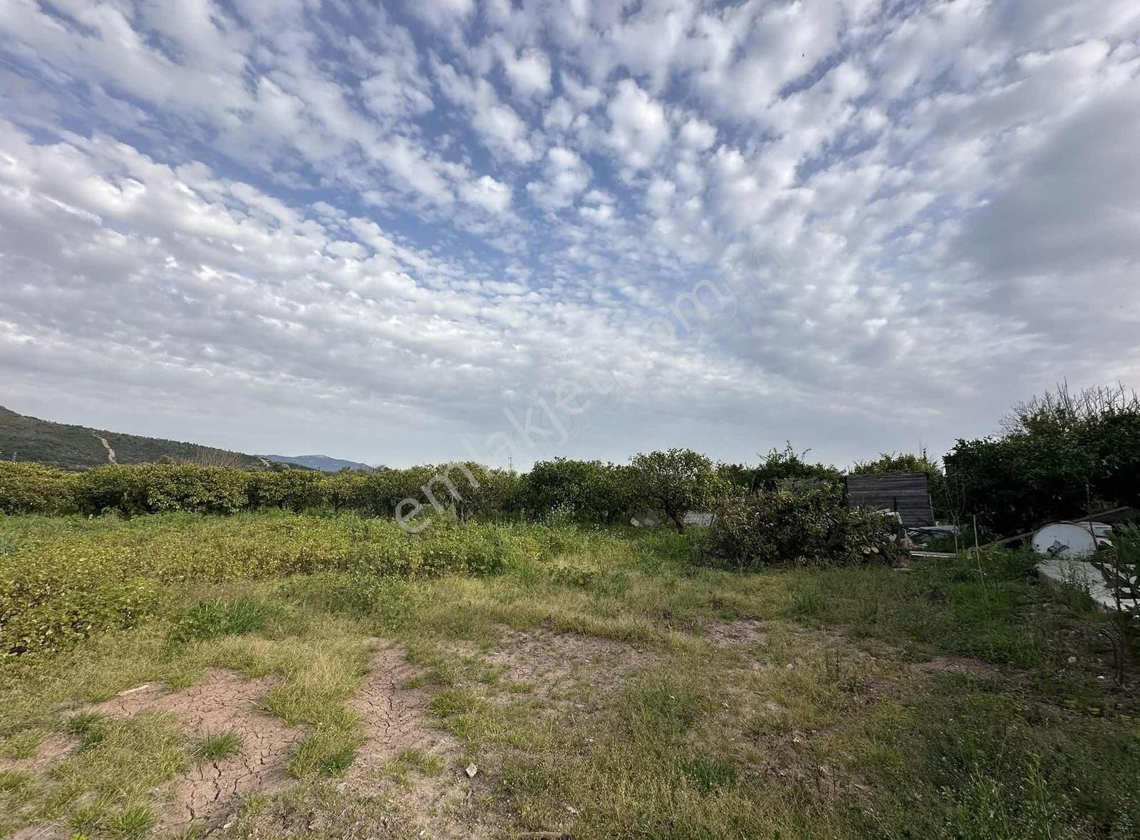 İzmir Seferihisar Orhanlı Da Satılık 3348 M2 Tarla Tek Tapu - Görsel 4