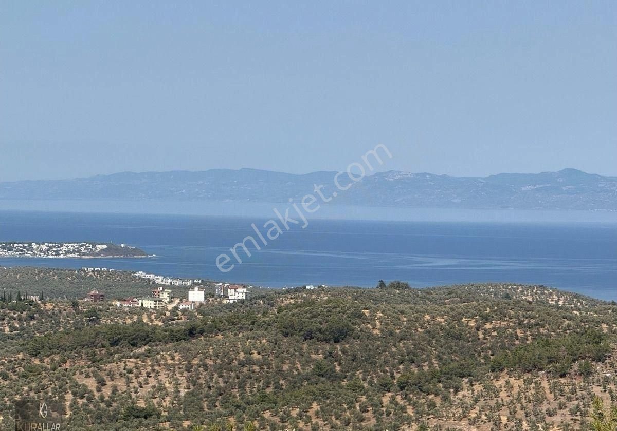 Ful Deniz Manzarası İsteyenlere Zeytinlik - Görsel 28